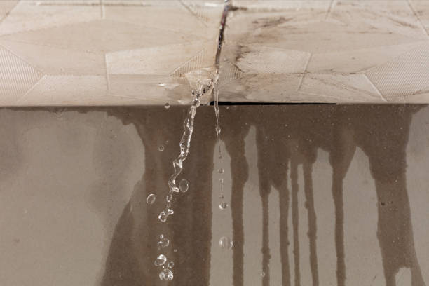 Professional Water Damage Repair technician working in Grand Blanc, MI